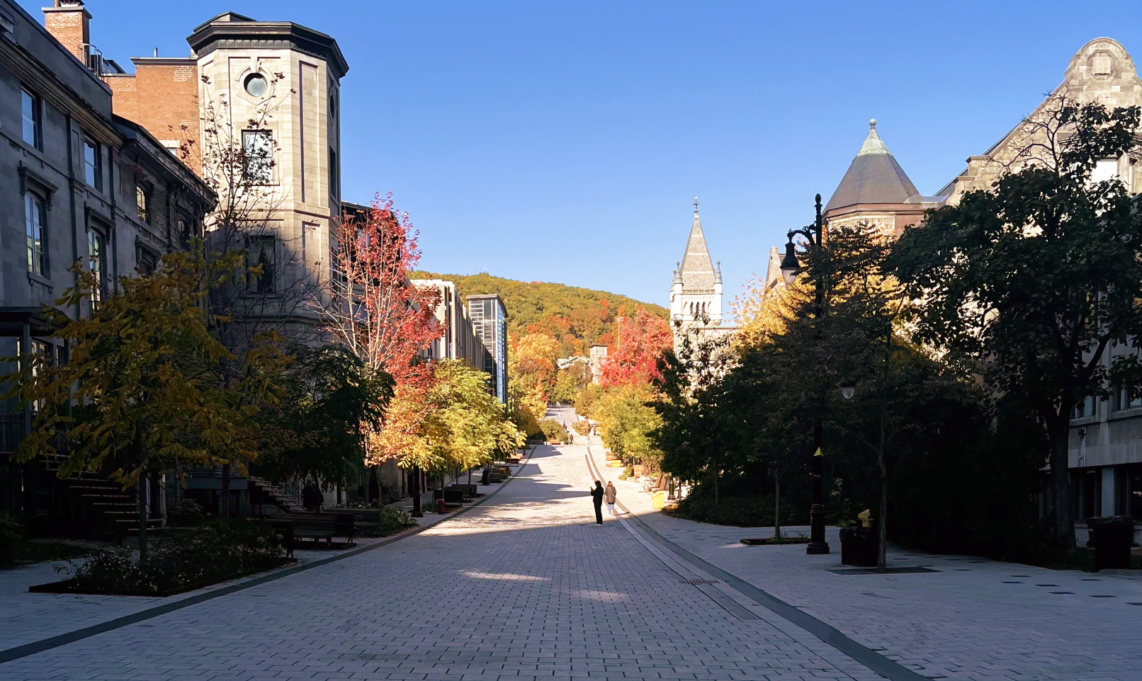 McGill campus in the fall, pretty indeed