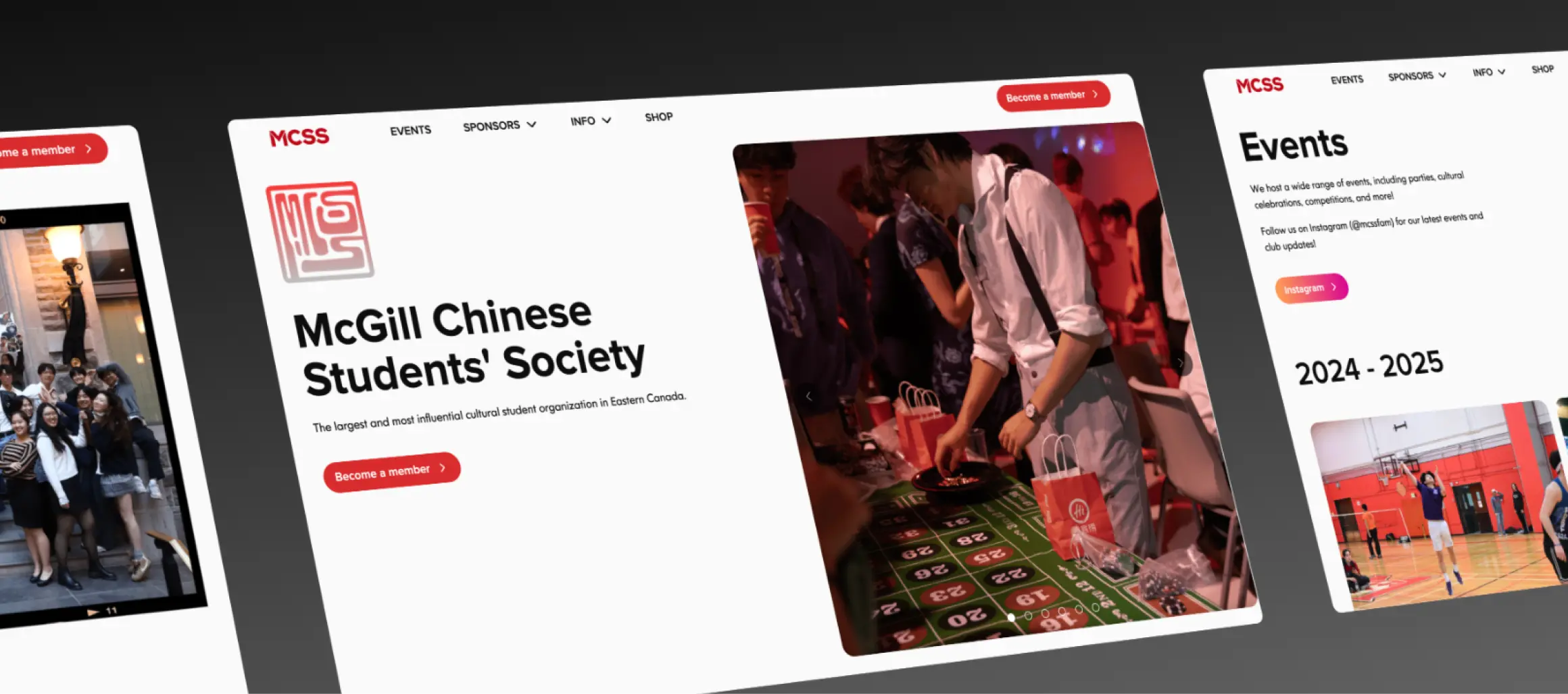 MCSS case study — overview 3d